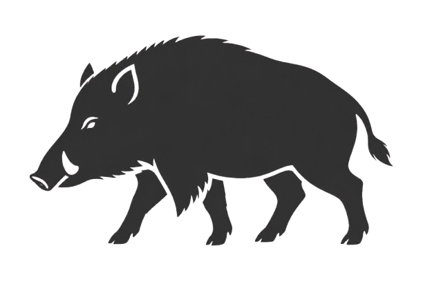 Porcine Research